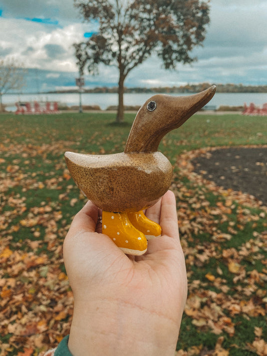 Yellow Mini Duck