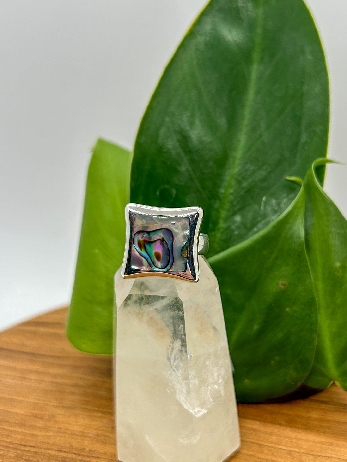 Silver Border Abalone Ring (size 7.5)