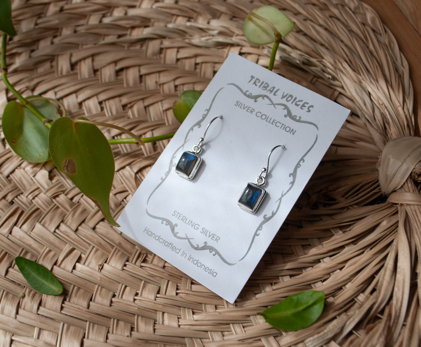 Labradorite Dangle Earrings