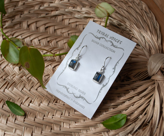 Labradorite Dangle Earrings