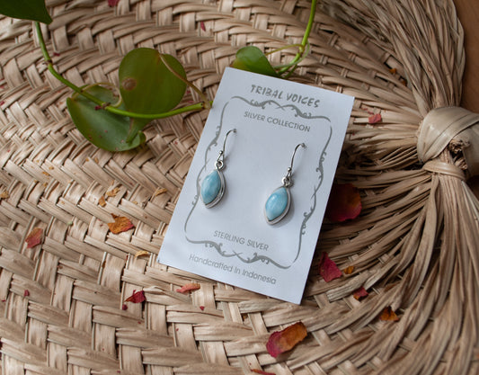 Larimar Dangle  Earrings