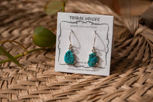 Arizona Turquoise Earrings