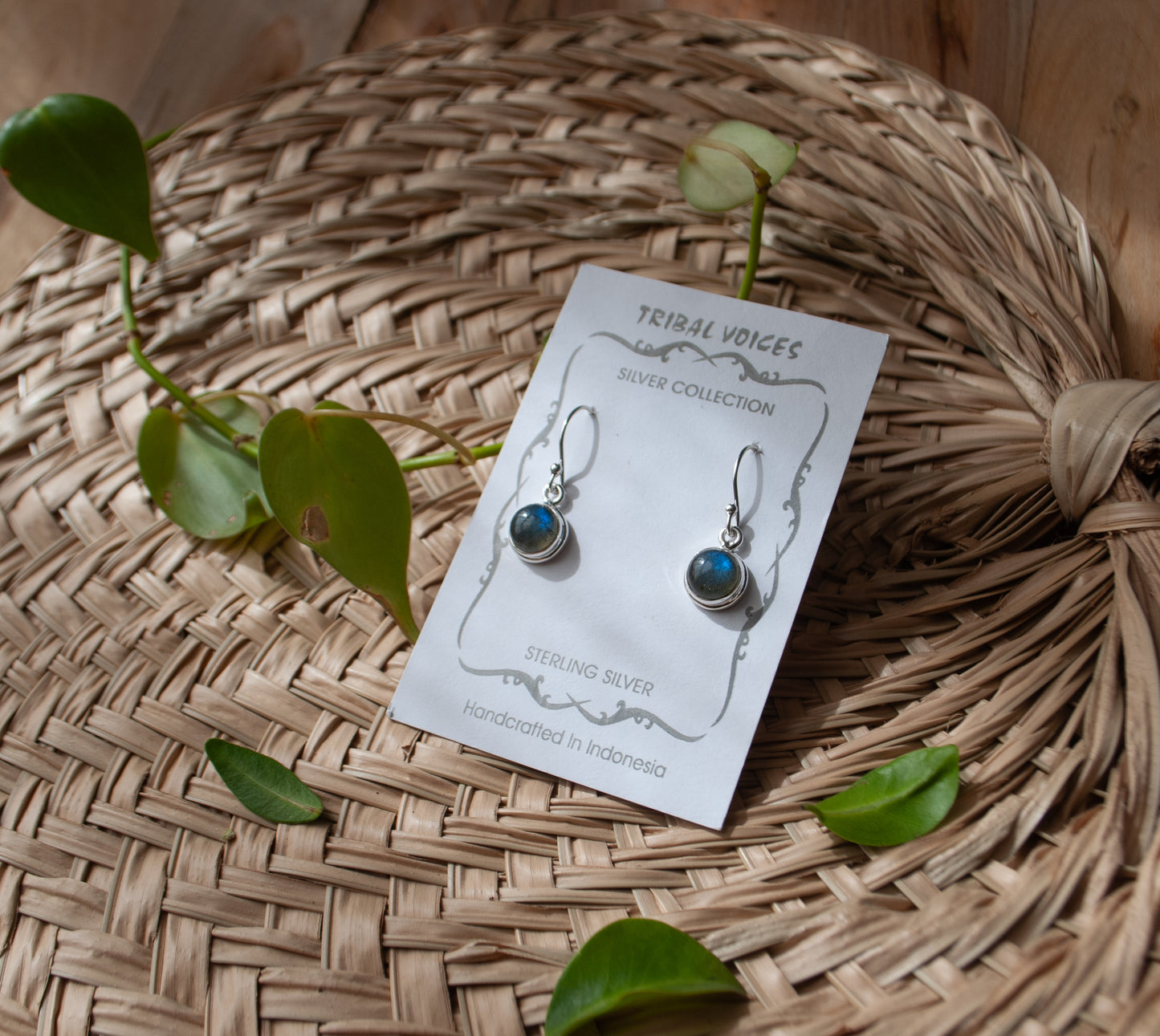 Circle Labradorite Earrings