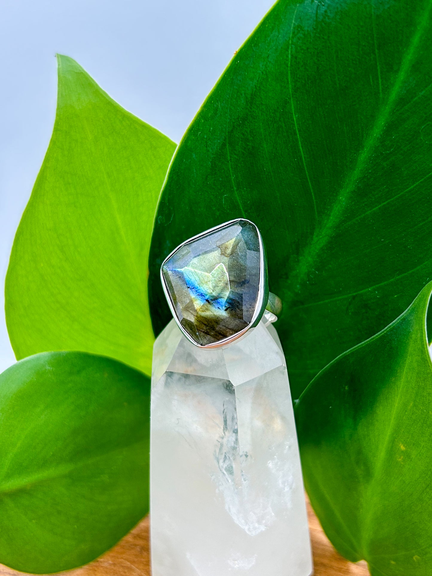 Facetted Labradorite Ring (size 8)