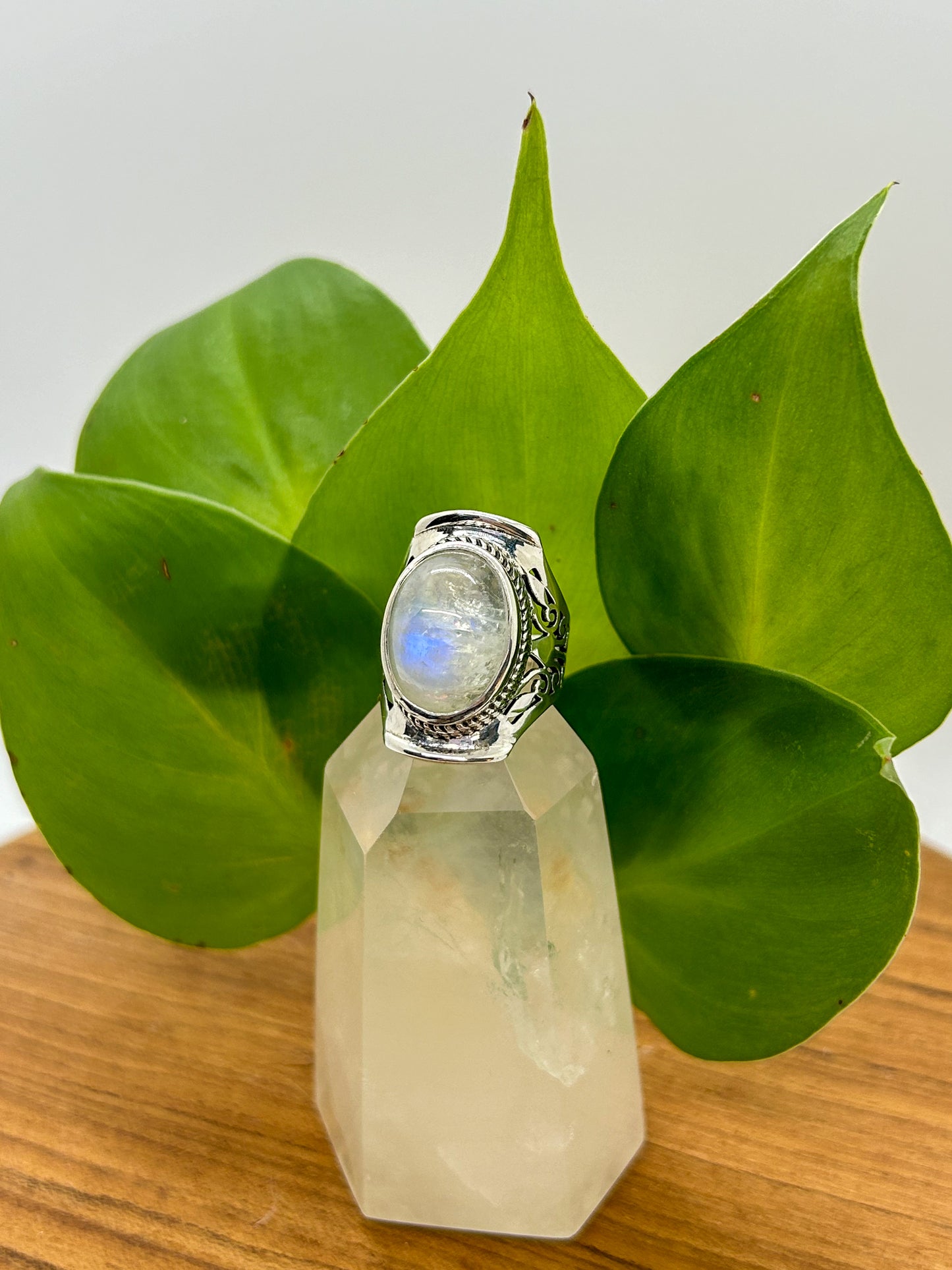 Antique Beauty Moonstone Ring (size 6)