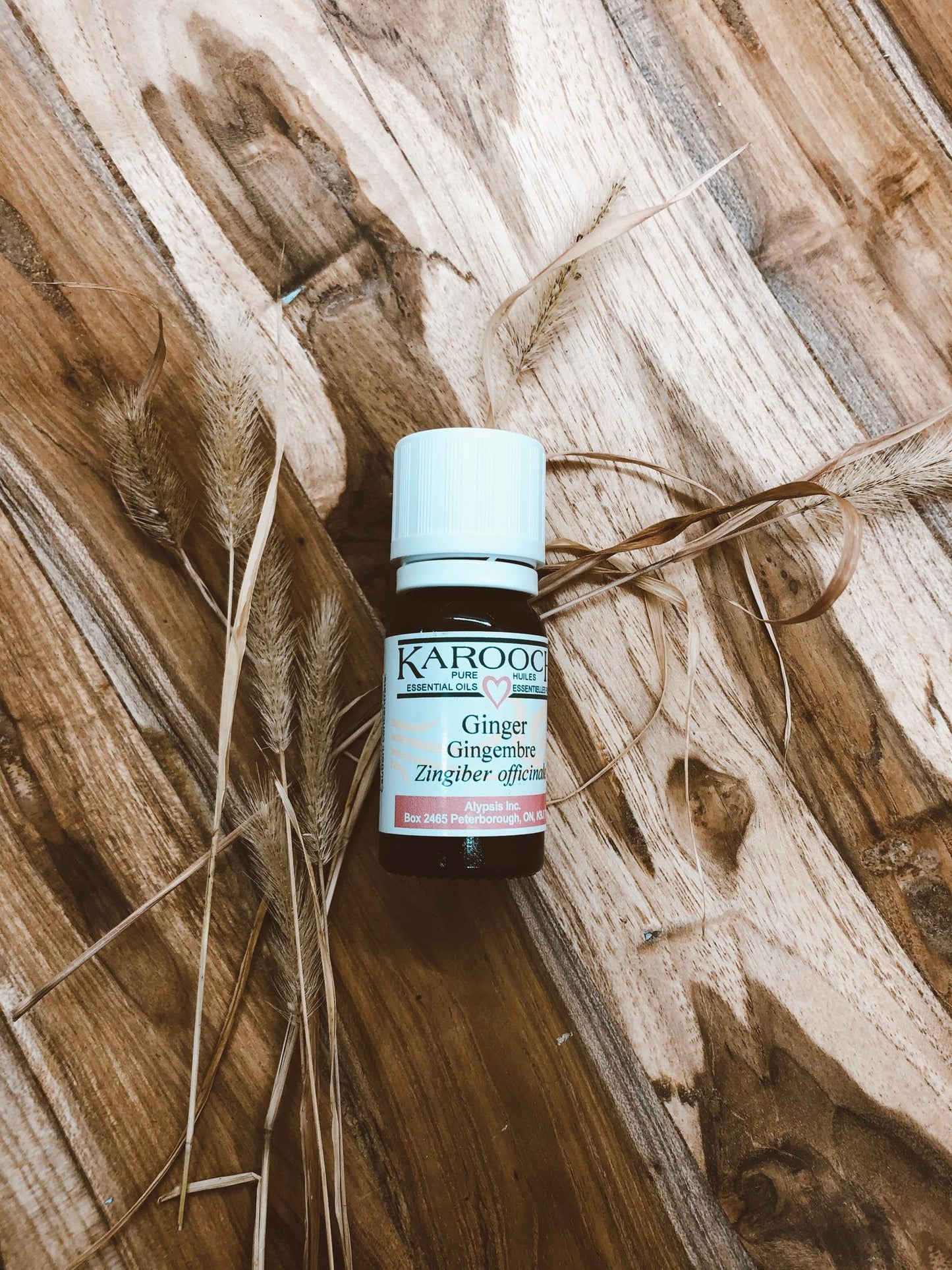 Ginger Essential Oil