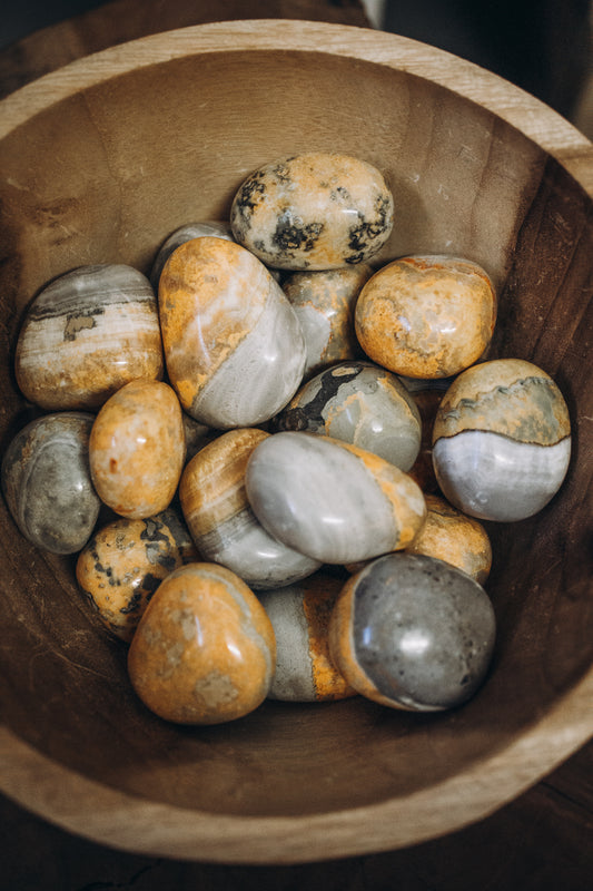 Bumblebee Jasper Tumbles