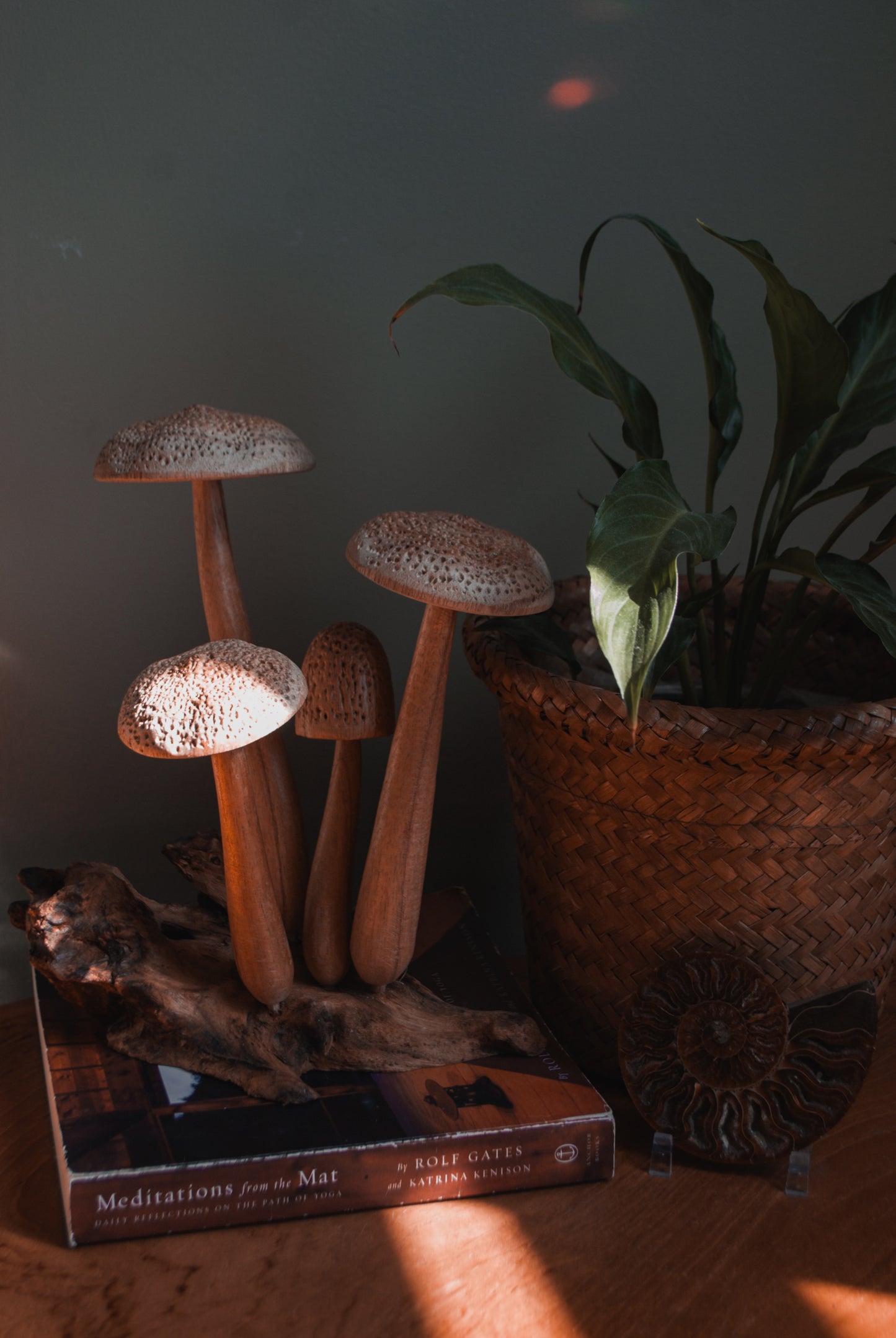 Mushroom Parasite Wood