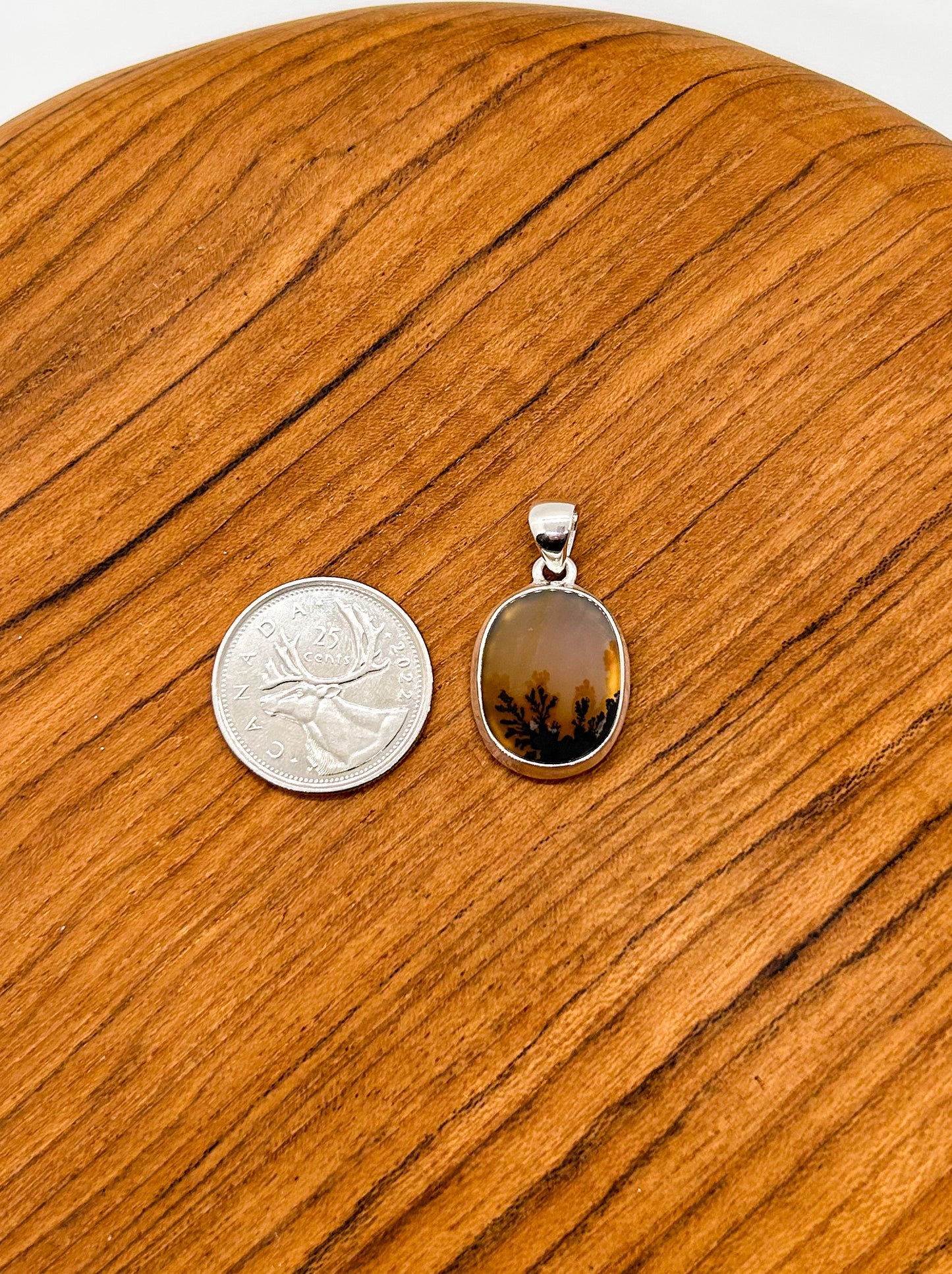 Brown Shadows Dendritic Agate Pendant