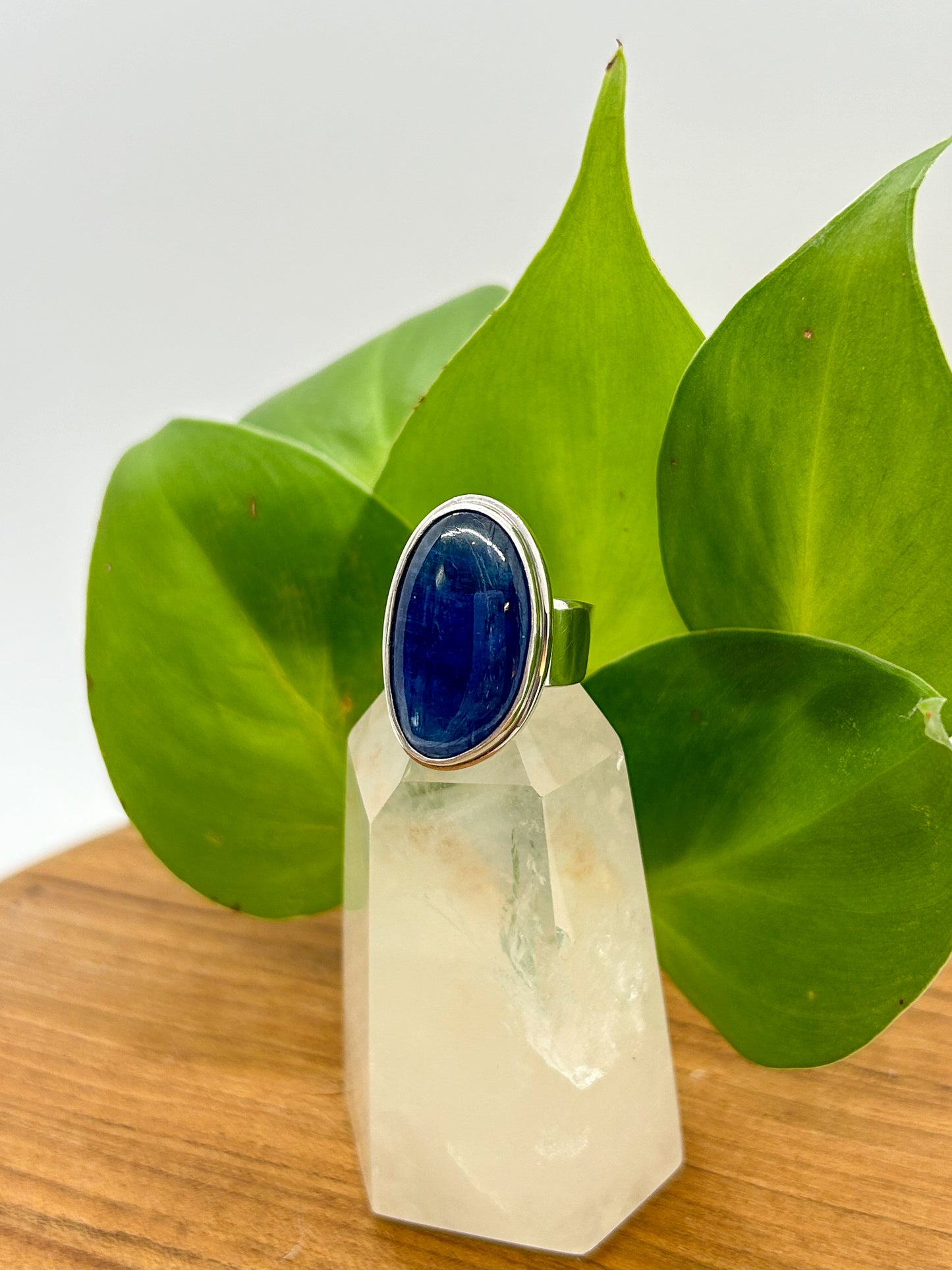 Elongated Kyanite Ring (size 6)