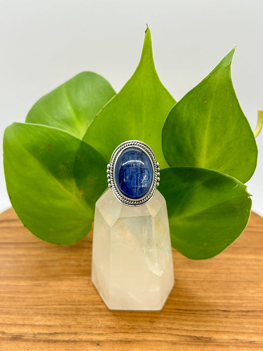 Blue Dreams Kyanite Ring (size 9)