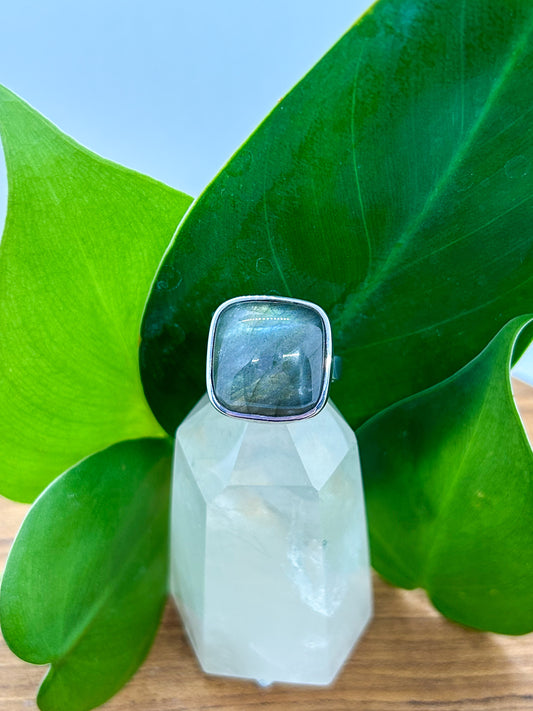 Square Set Labradorite Ring (size 8)