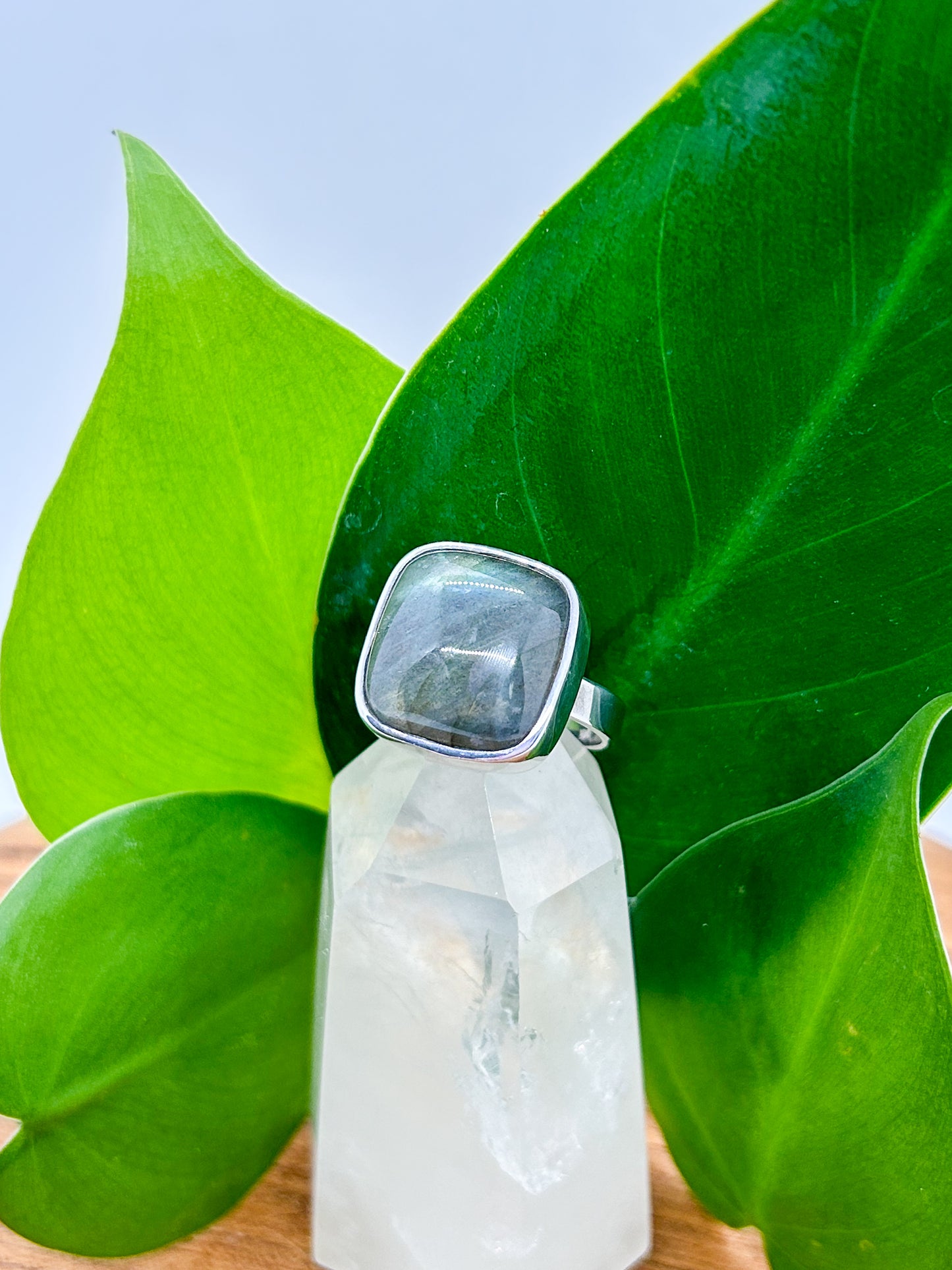 Square Set Labradorite Ring (size 8)