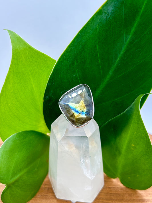 Facetted Labradorite Ring (size 8)