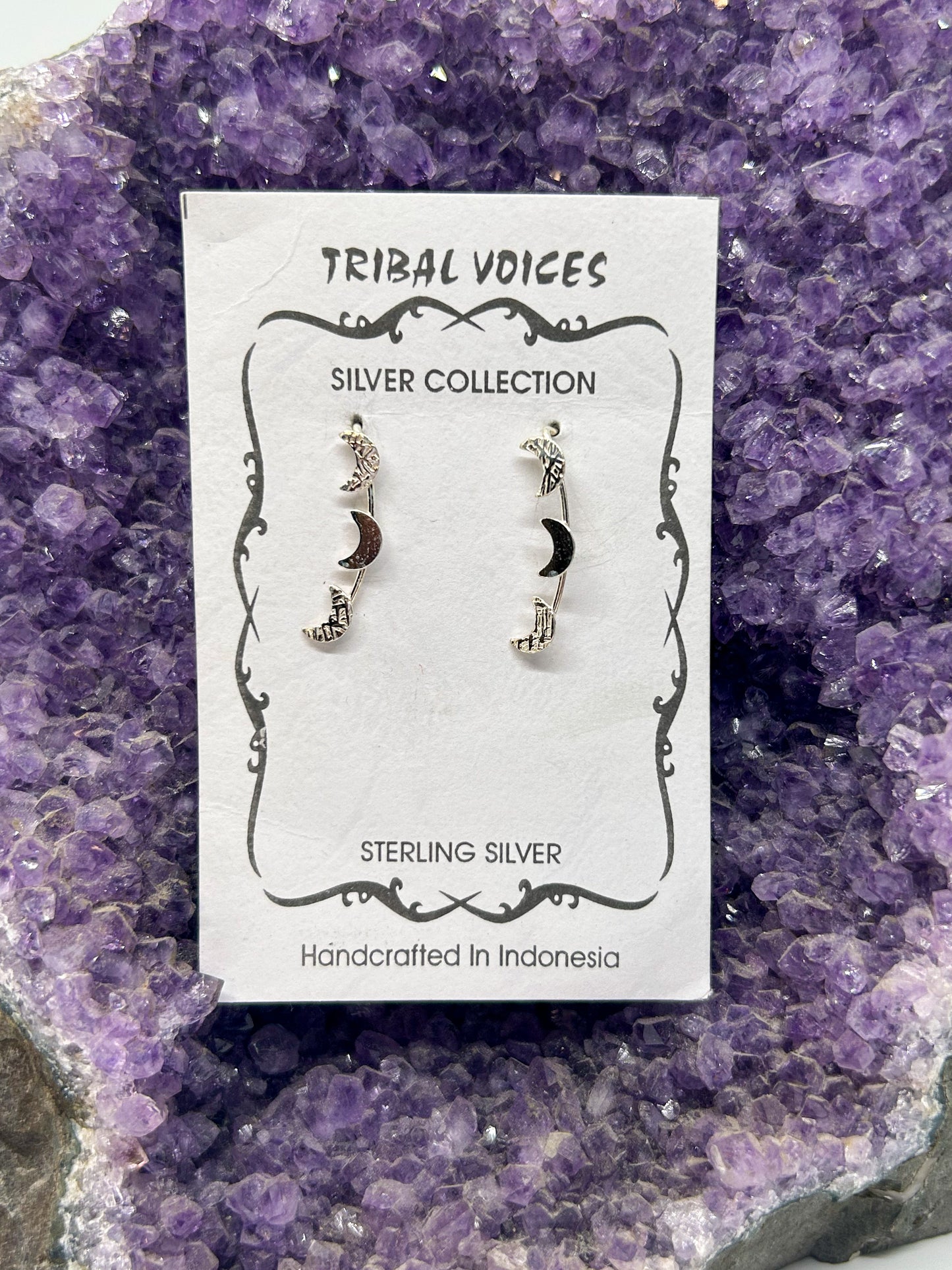 Silver Moon Crawler Earrings