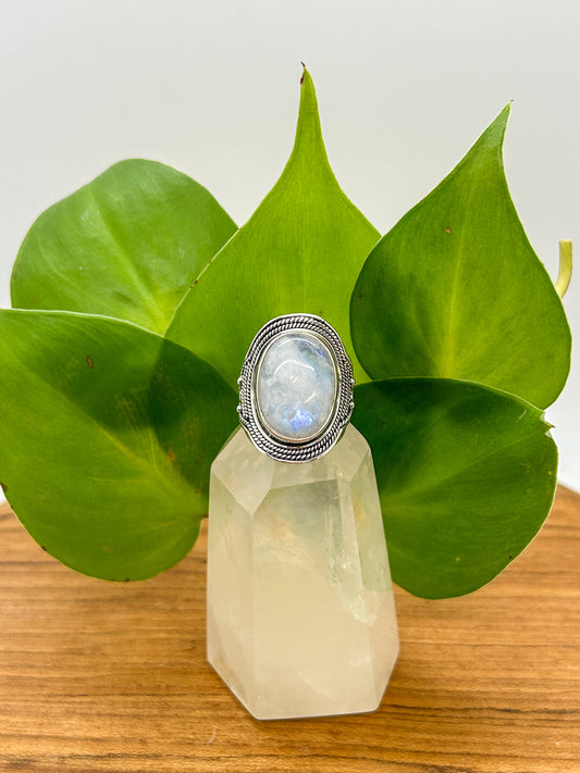 Braided Border Moonstone Ring (size 7)