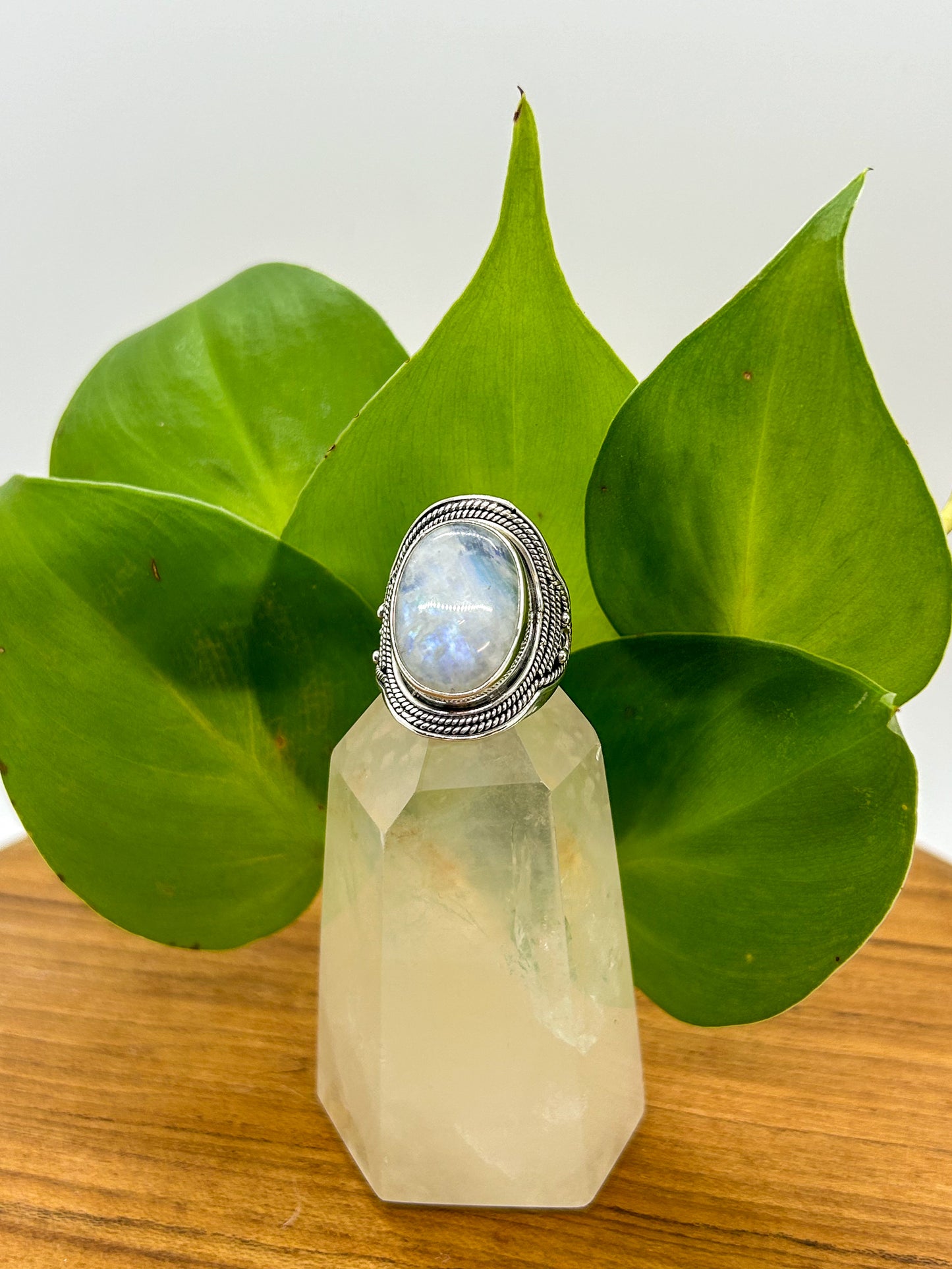 Braided Border Moonstone Ring (size 7)