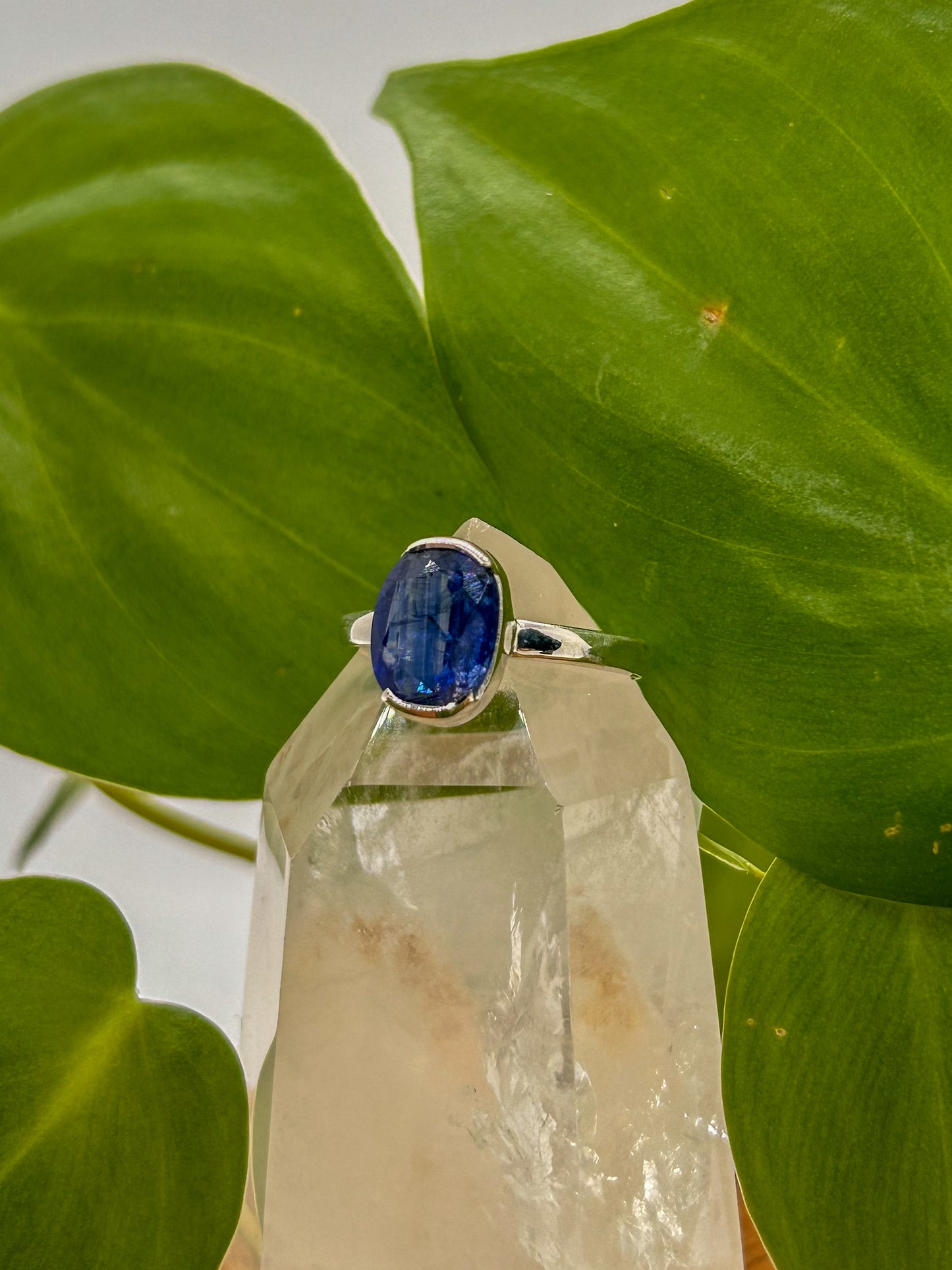 Faceted Kyanite Ring Size 8