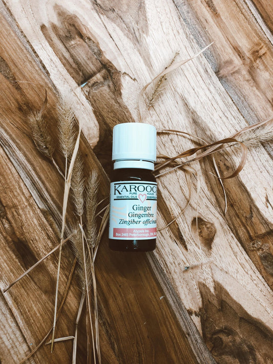 Ginger Essential Oil