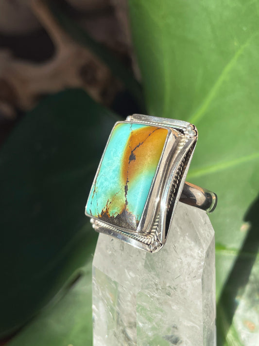 Earthly View African Turquoise Ring (Size 8)