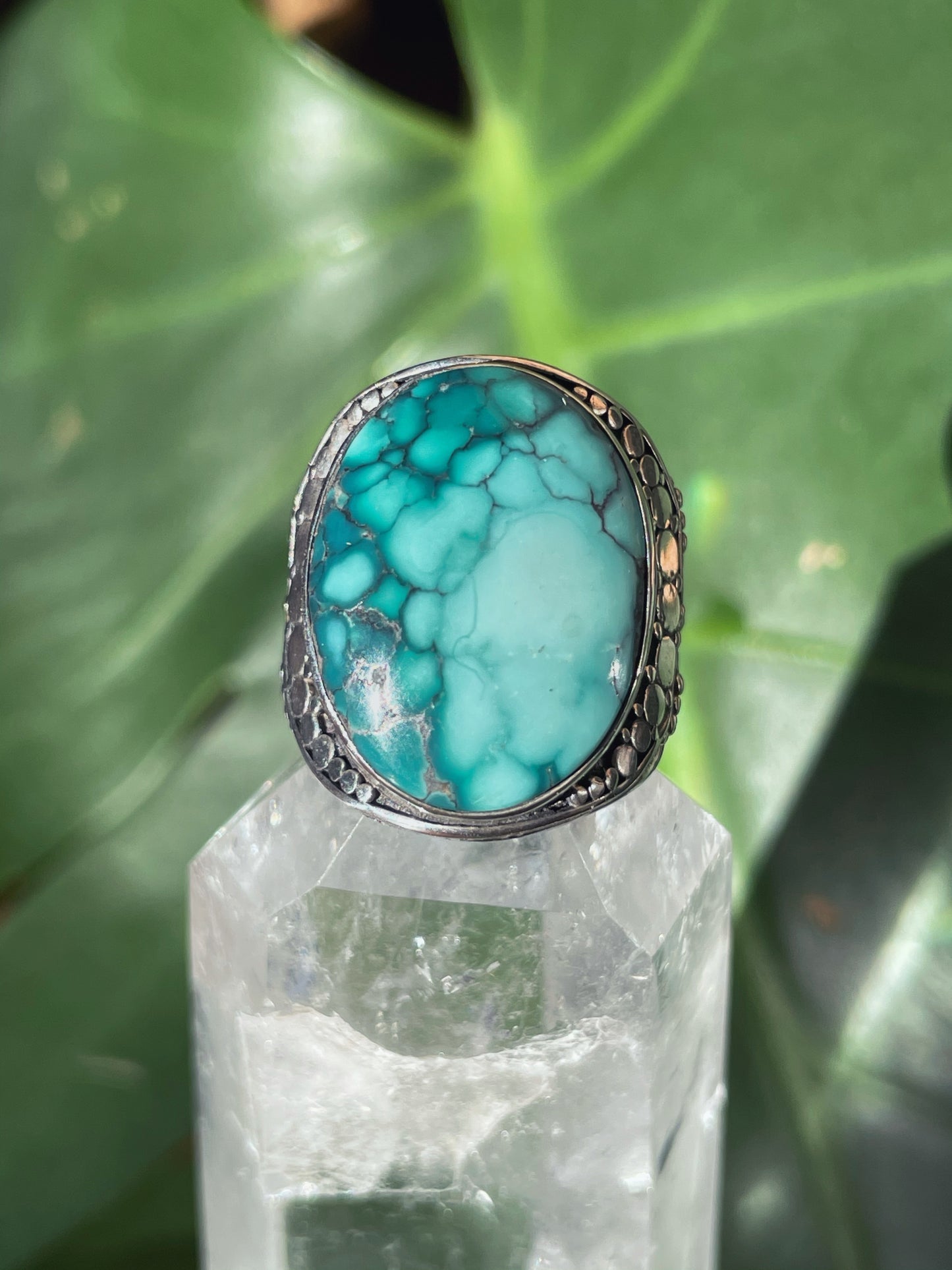 Tropical Reef Turquoise Ring (size 6)