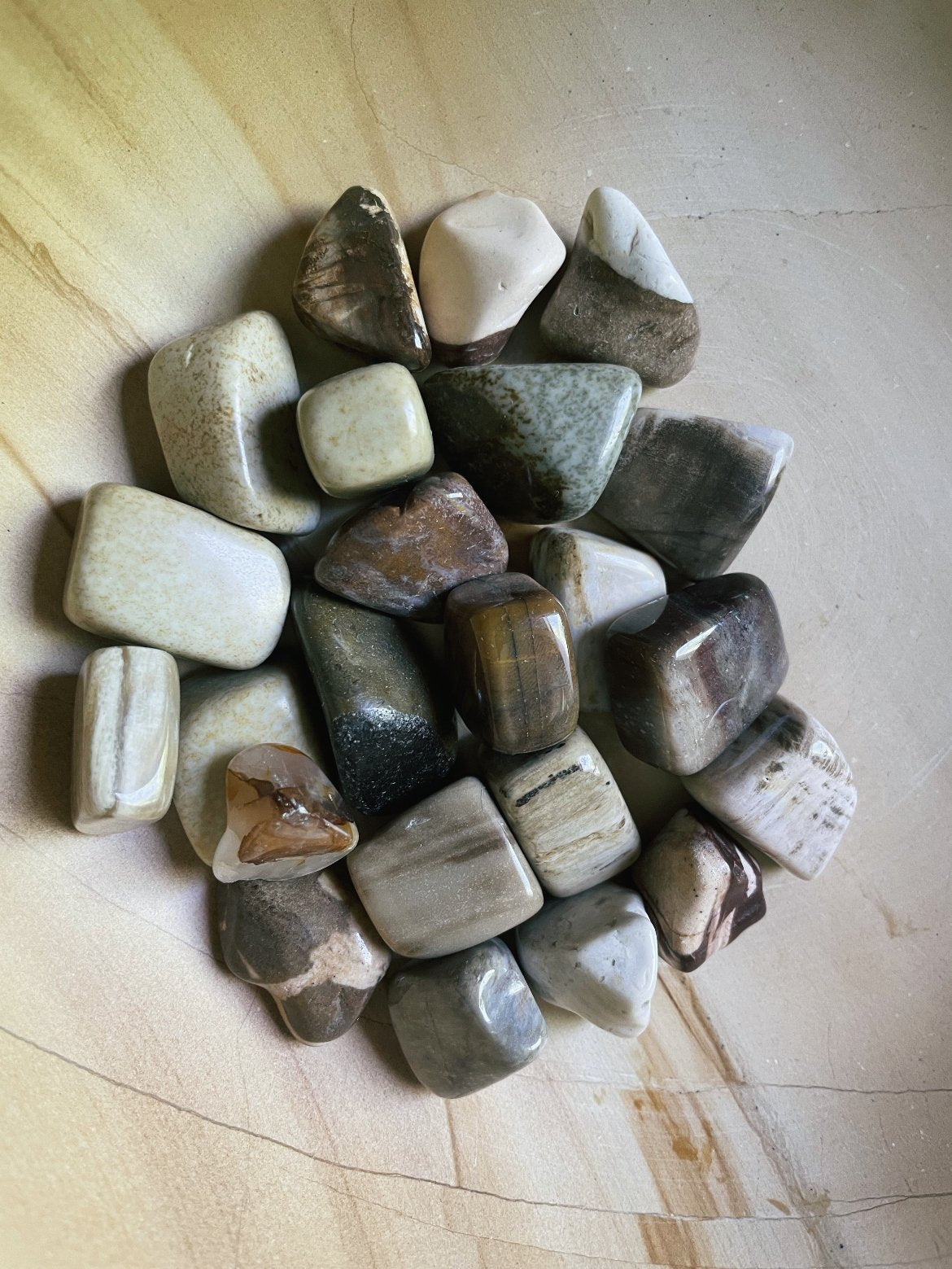 Petrified Wood Tumbles
