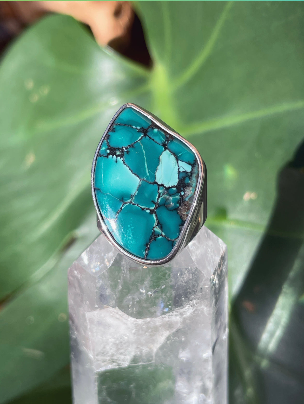 Teal Feels Turquoise Ring (size 6)