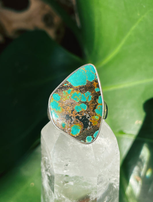 Rustic Roots Turquoise Ring (Size 8)